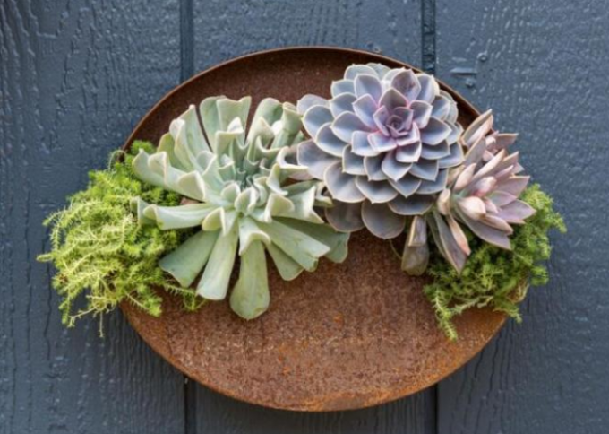 Metà d'acciaio di Corten del metallo della decorazione domestica della parete intorno ai vasi da fiori di attaccatura di parete