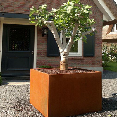 Grandi piantatrici d'acciaio dei vasi da fiori di Corten del giardino all'aperto