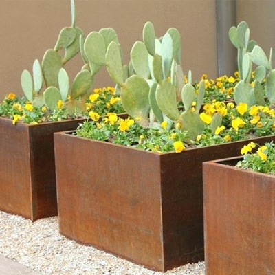 Vasi da fiori d'acciaio rettangolari su misura di Corten della grande scatola all'aperto della piantatrice