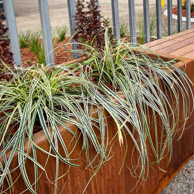 600mm 700mm Tin Planter For Tree Planting rettangolare all'aperto 1000mm