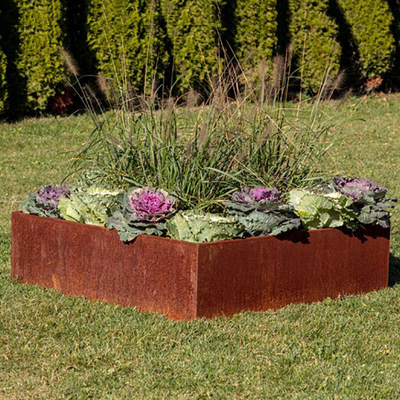 L'acciaio di TUV Corten ha sollevato l'abitudine del letto 65l*65w*30h cm del giardino dipinta