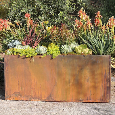 La piantatrice del giardino del metallo di personalizzazione inscatola la piantatrice d'acciaio della depressione di Corten 1200mm