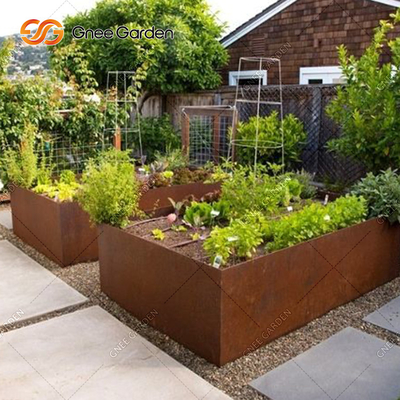 La piantatrice del giardino del metallo di personalizzazione inscatola la piantatrice d'acciaio della depressione di Corten 1200mm