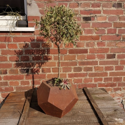 Il laser ha tagliato il vaso di fiore all'aperto del giardino d'acciaio della piantatrice di Corten