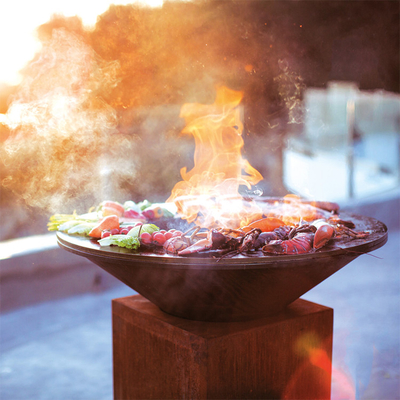 Il legno che brucia sopravvivendo la cottura all'aperto d'acciaio griglia 100cm per il barbecue