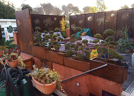 il giardino del metallo del modello del crisantemo di 3mm orna Corten che il laser d'acciaio ha tagliato i pannelli