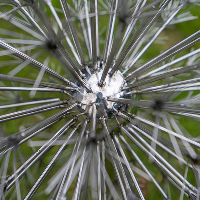 giardino di Art Electroplate Dandelion Shape For dell'iarda di acciaio inossidabile 304 316