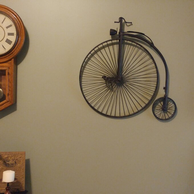 Bici d'attaccatura del nastro metallico del giardino di Gnee sulla parete per la decorazione